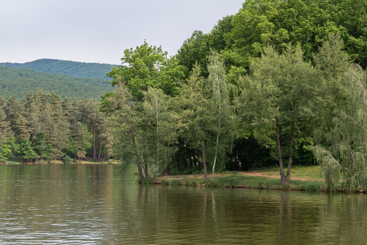 20260514-DSC_5030-2.JPG